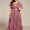 Women's V Neck Embroidered Sequin A Line Ruffles Sleeves Plus Size Evening Dresses Ball Gowns 02314-DA